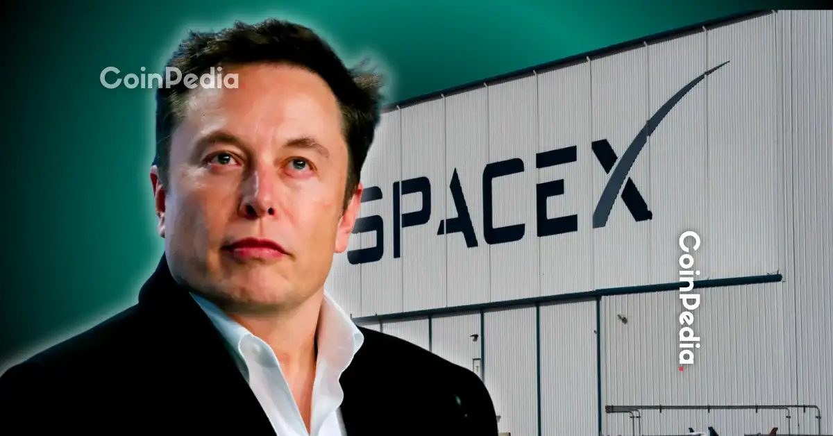 SpaceX Stock Price Falls Nearly 50% Ahead of Insider Share Unlocks