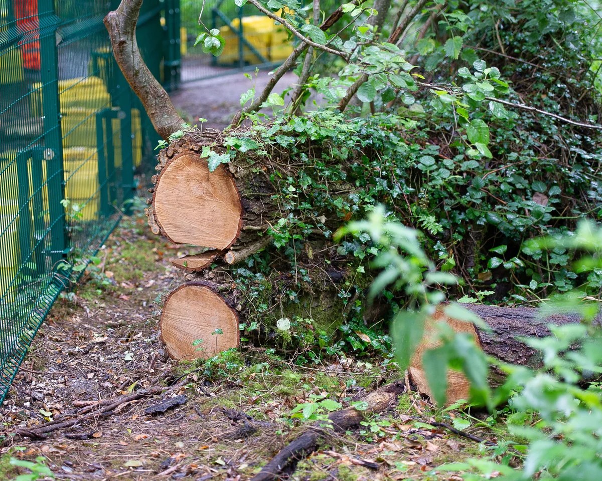 Burnham urged to drop ‘flawed’ plans that may let developers bypass environment laws for £1