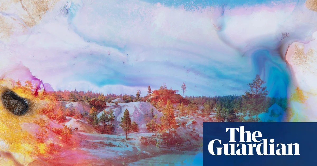 Welcome to California: land of plunder and hypocrisy | Mark Arax