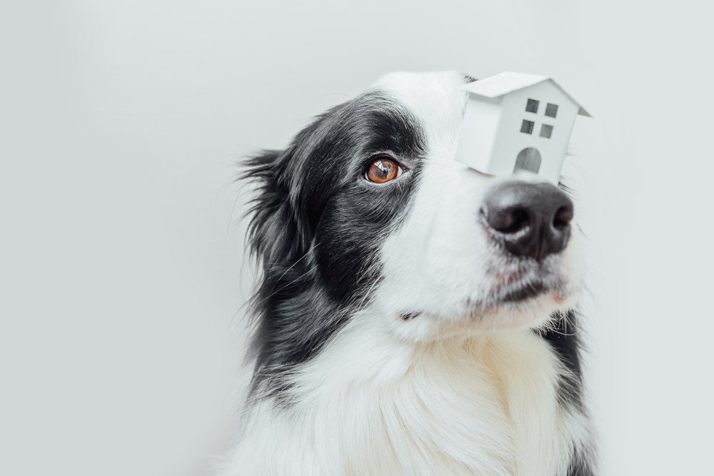 This High-Dividend Real Estate ETF Holds Some Bargains