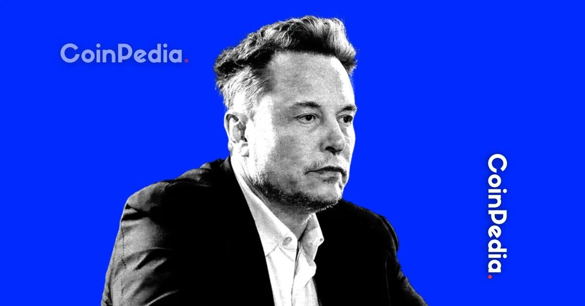 Elon Musk Highlights Grok Imagine’s AI Image and Video Generation Tools