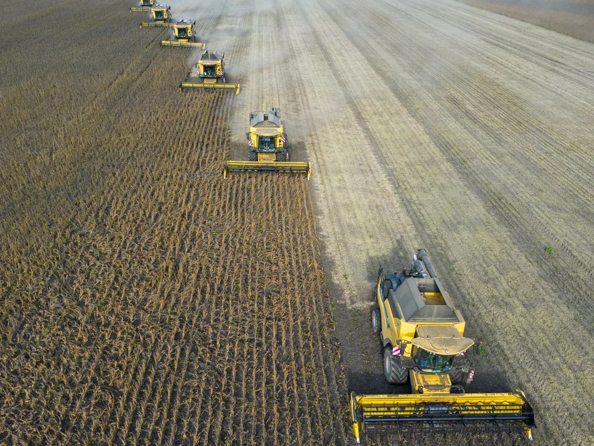 ‘Super’ El Niño could cause global food price shock lasting into 2028, analysts say