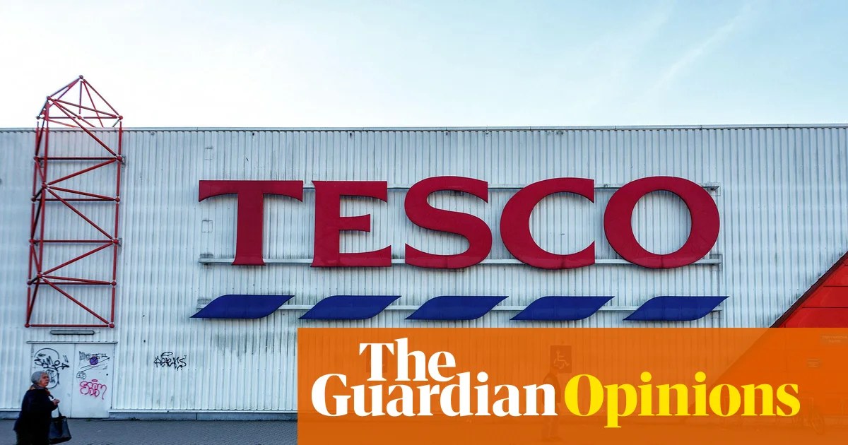 Tesco’s overseas empire is in retreat – but shareholders have no complaints | Nils Pratley