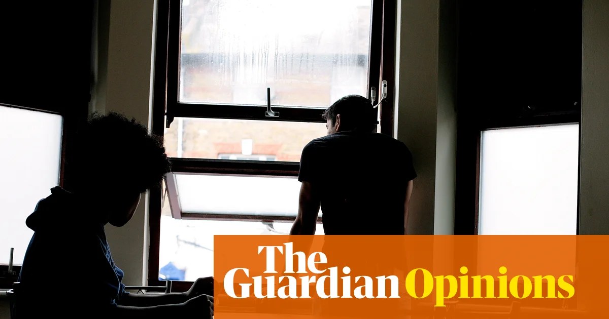 The Guardian view on private equity in the public sector: children’s services must be freed from debt-fuelled takeovers | Editorial