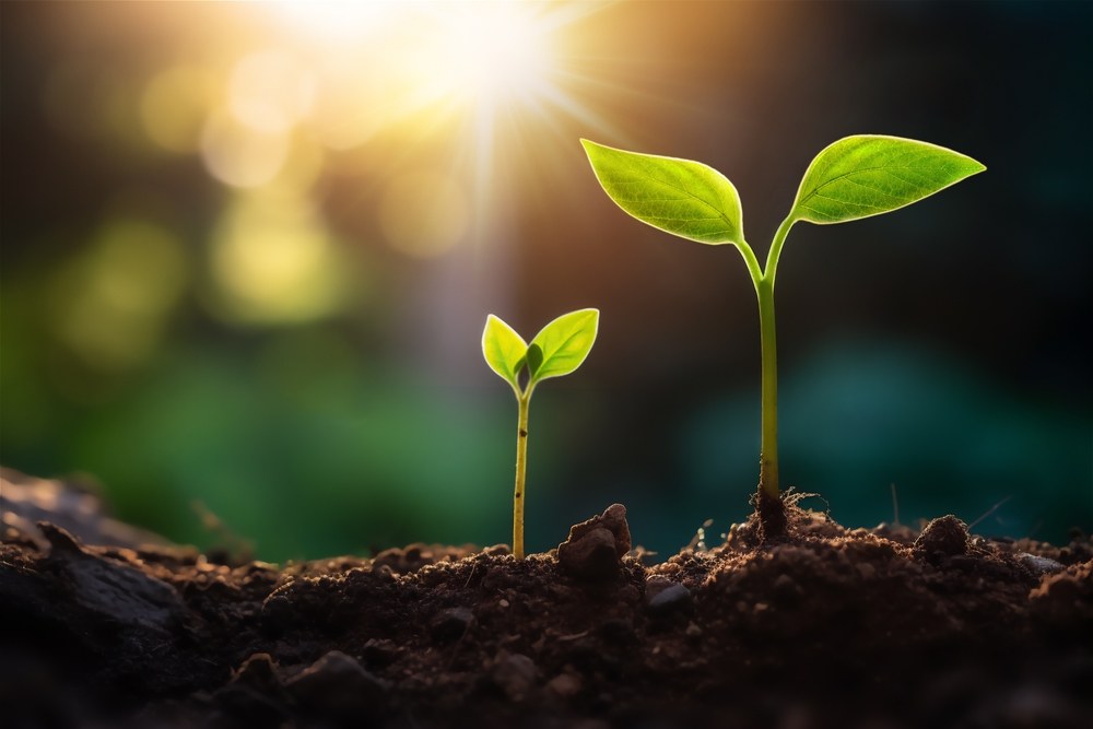 Active ETF TSPA Doubles AUM YTD Amid Growing Attention