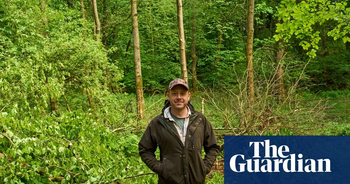 ‘People start connecting the dots’: why an investment fund is rewilding a North Yorkshire estate