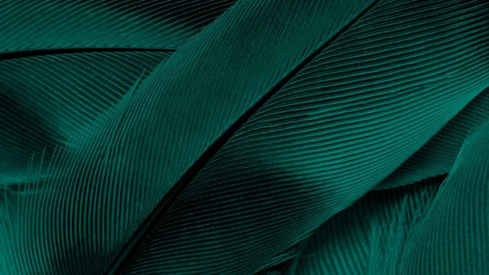 Predicting What Could Move This Robinhood ETF