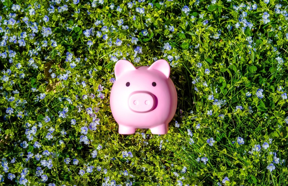 Avert Interest Rate Jitters With This Cash ETF